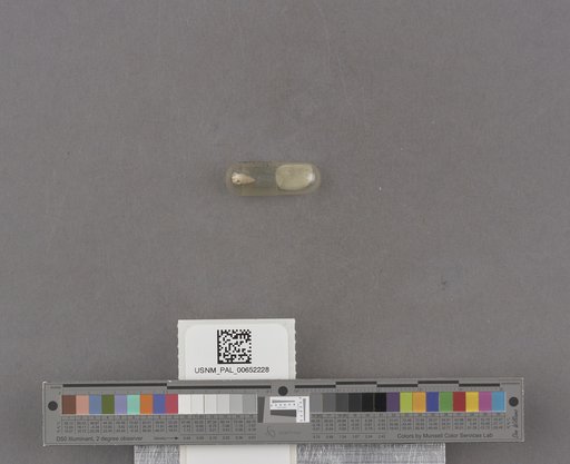 NSF ADBC EPICC TCN