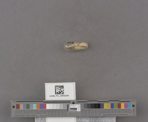 NSF ADBC EPICC TCN
