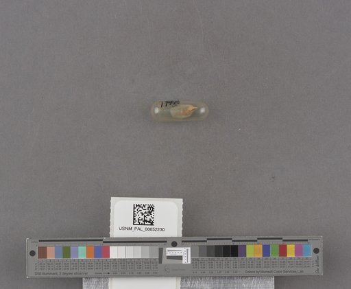 NSF ADBC EPICC TCN