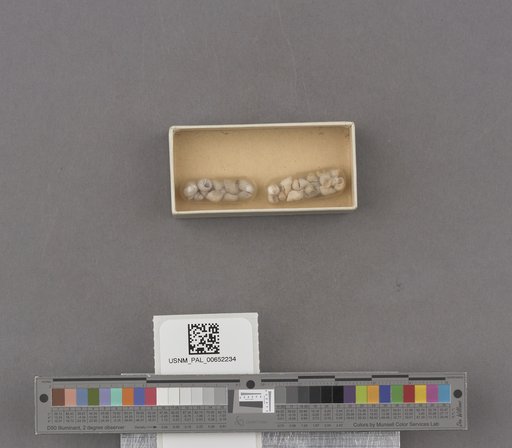 NSF ADBC EPICC TCN
