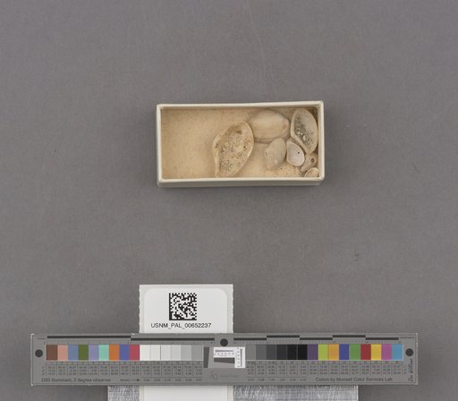 NSF ADBC EPICC TCN