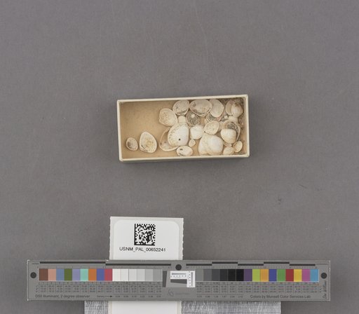 NSF ADBC EPICC TCN
