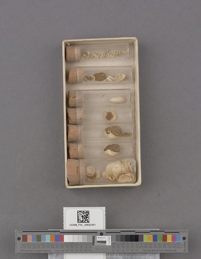 NSF ADBC EPICC TCN