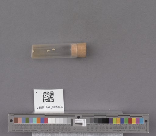 NSF ADBC EPICC TCN