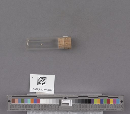 NSF ADBC EPICC TCN