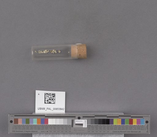 NSF ADBC EPICC TCN