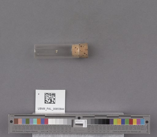 NSF ADBC EPICC TCN