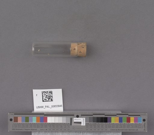 NSF ADBC EPICC TCN