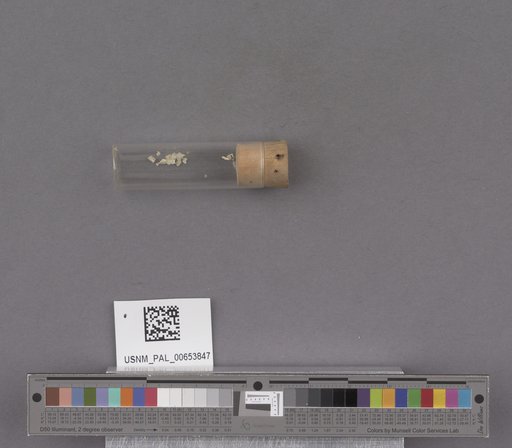 NSF ADBC EPICC TCN
