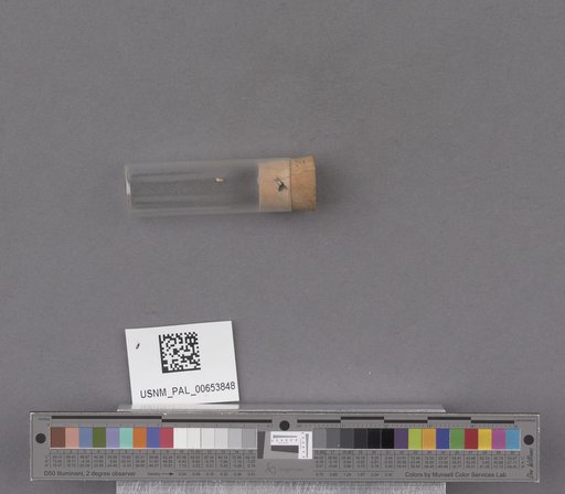 NSF ADBC EPICC TCN