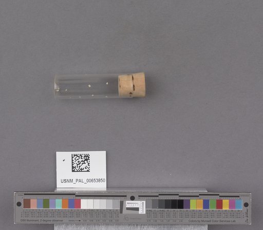 NSF ADBC EPICC TCN