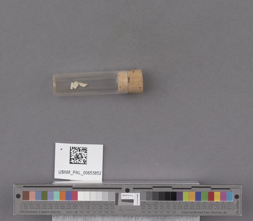 NSF ADBC EPICC TCN