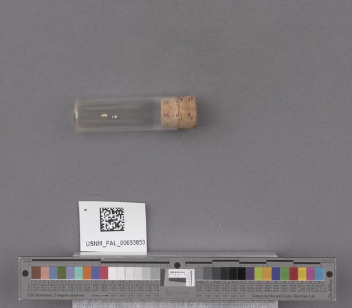 NSF ADBC EPICC TCN