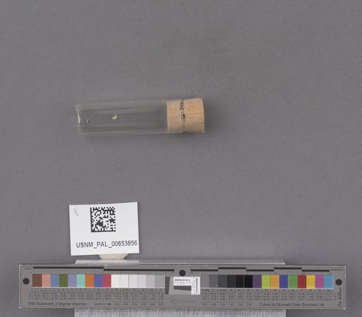 NSF ADBC EPICC TCN