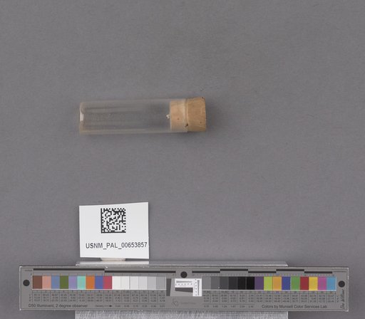NSF ADBC EPICC TCN