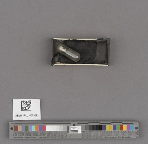 NSF ADBC EPICC TCN
