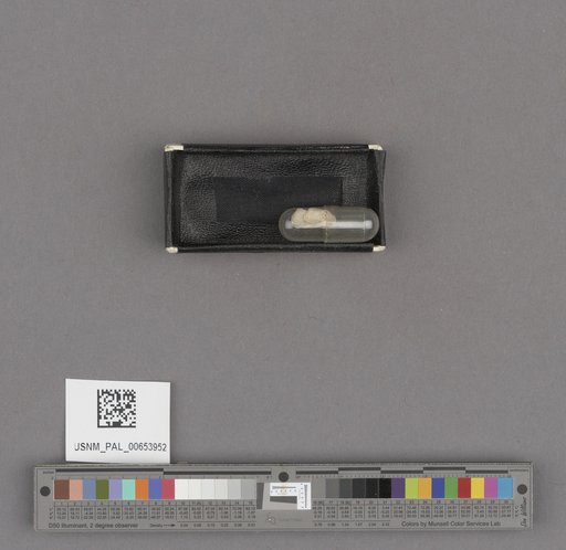 NSF ADBC EPICC TCN