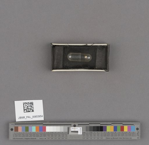 NSF ADBC EPICC TCN