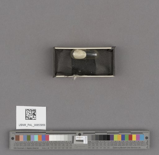 NSF ADBC EPICC TCN