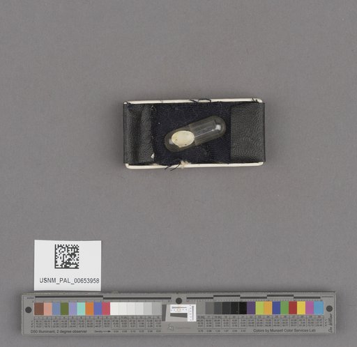 NSF ADBC EPICC TCN