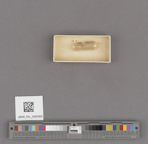 NSF ADBC EPICC TCN