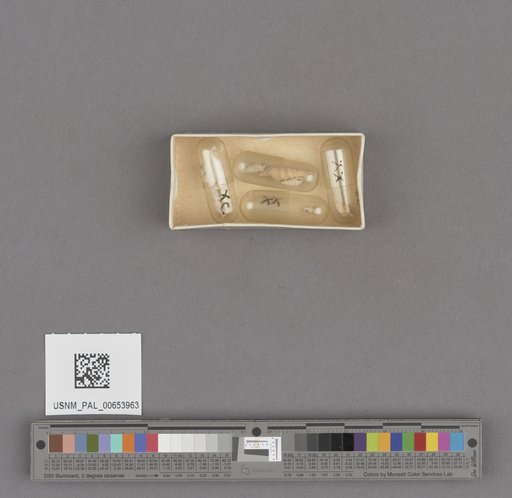 NSF ADBC EPICC TCN