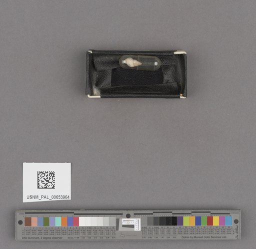 NSF ADBC EPICC TCN