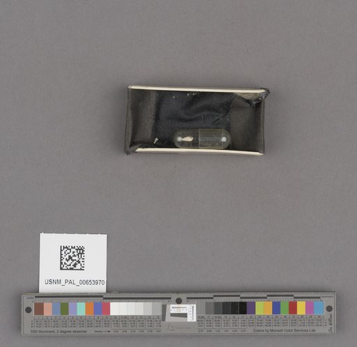 NSF ADBC EPICC TCN