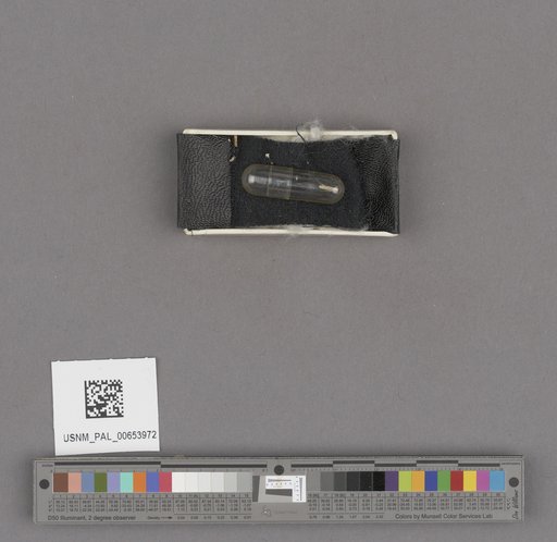 NSF ADBC EPICC TCN