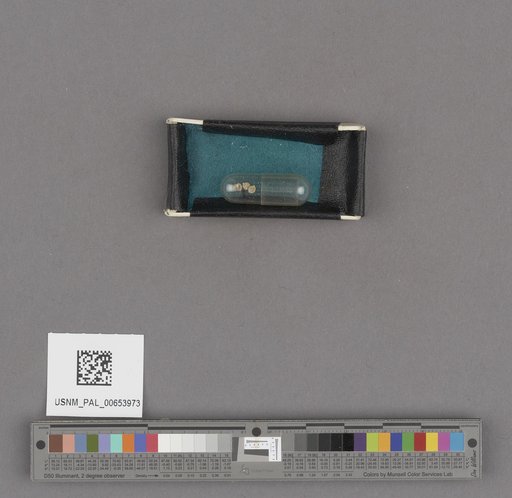 NSF ADBC EPICC TCN