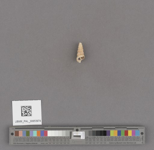 NSF ADBC EPICC TCN