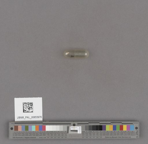 NSF ADBC EPICC TCN