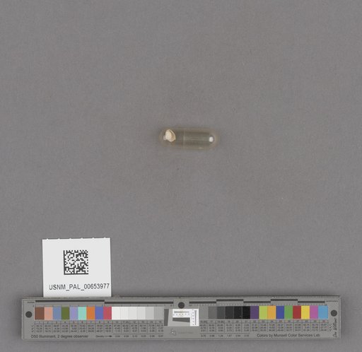 NSF ADBC EPICC TCN
