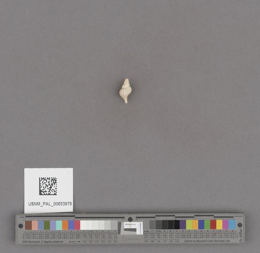 NSF ADBC EPICC TCN