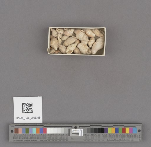 NSF ADBC EPICC TCN