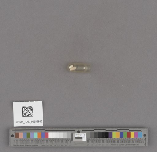 NSF ADBC EPICC TCN