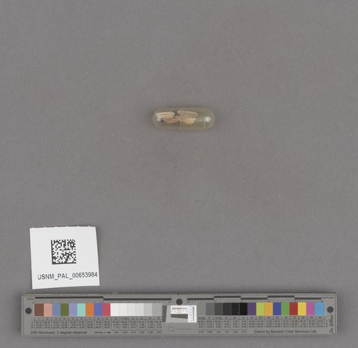 NSF ADBC EPICC TCN