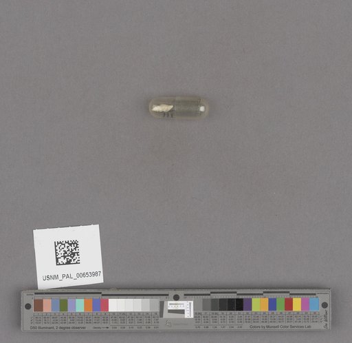 NSF ADBC EPICC TCN