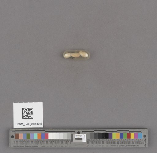 NSF ADBC EPICC TCN