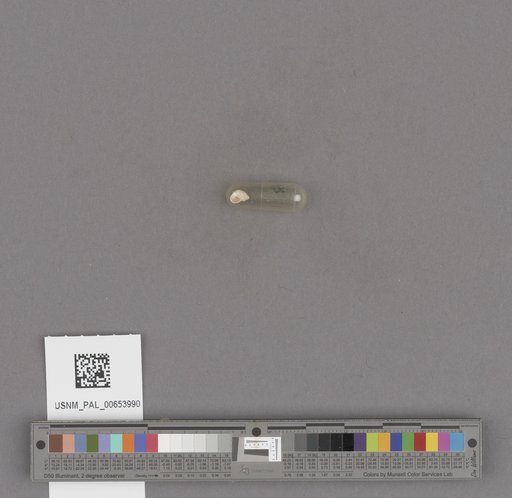 NSF ADBC EPICC TCN