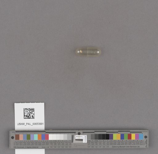 NSF ADBC EPICC TCN
