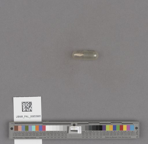NSF ADBC EPICC TCN