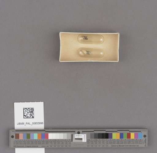 NSF ADBC EPICC TCN