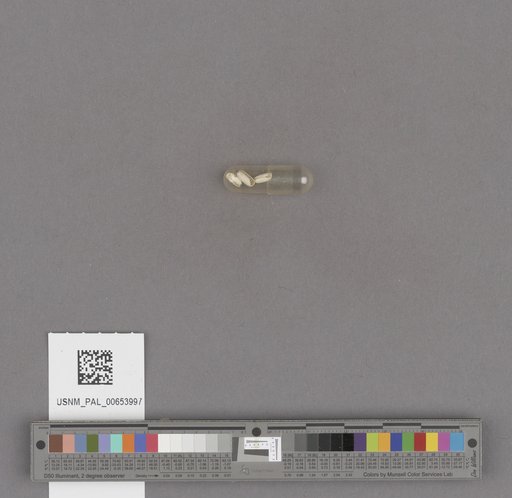 NSF ADBC EPICC TCN
