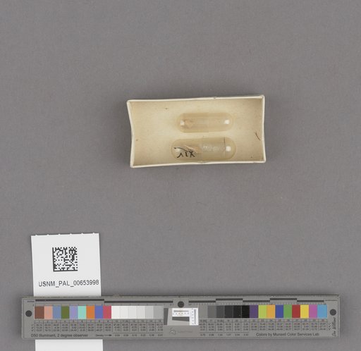 NSF ADBC EPICC TCN