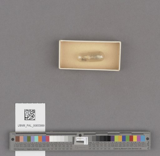 NSF ADBC EPICC TCN
