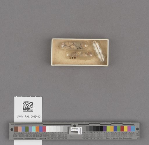 NSF ADBC EPICC TCN