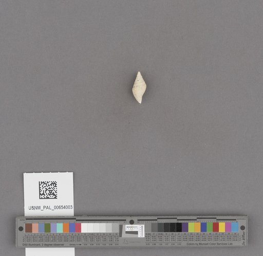 NSF ADBC EPICC TCN