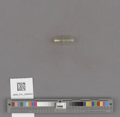 NSF ADBC EPICC TCN