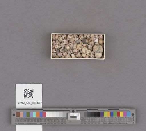 NSF ADBC EPICC TCN
